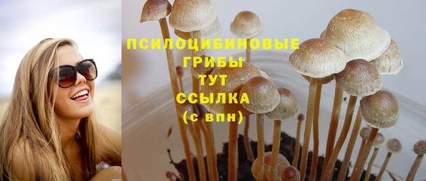 альфа пвп Медвежьегорск