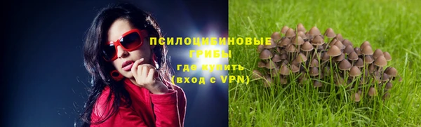 Альфа ПВП Медногорск