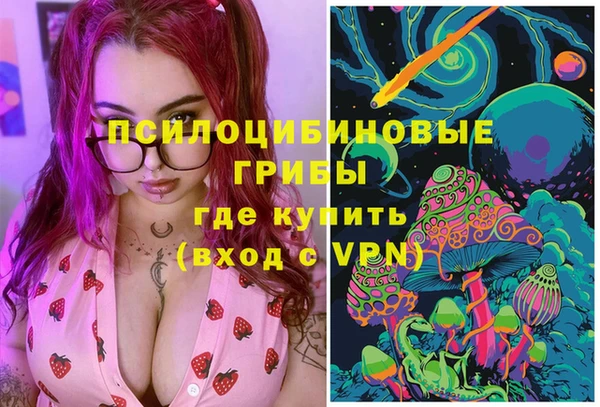 альфа пвп Медвежьегорск
