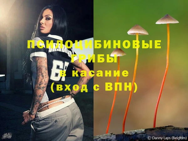 молекула духа Магадан