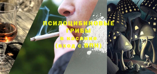 PSILOCYBIN Мегион