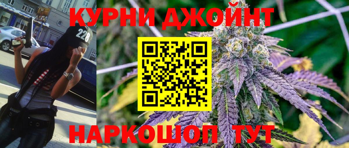 Канабис конопля  Вход с VPN  Бошки марихуана Bruce Banner  Каннабис индика  Сокол 